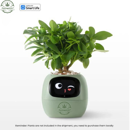 Plantagotchi™ Smart Plant Care