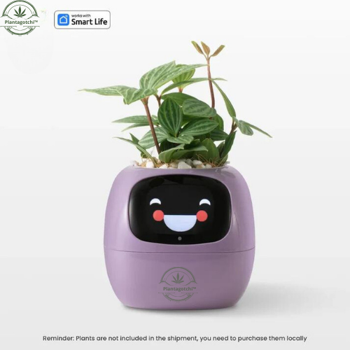 Plantagotchi™ Smart Plant Care