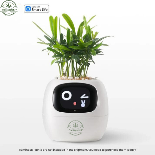 Plantagotchi™ Smart Plant Care