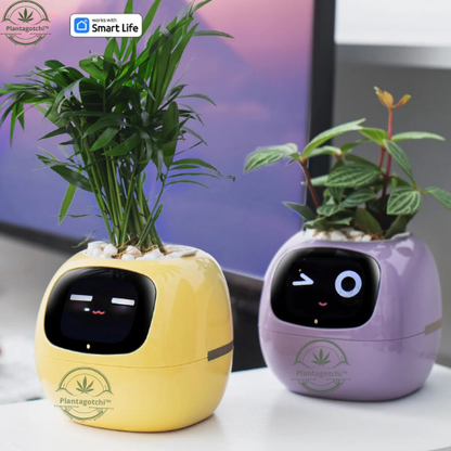 Plantagotchi™ Smart Plant Care